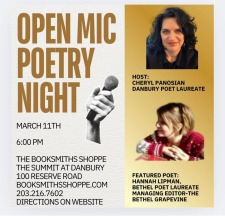 Danbury Second Wednesday Night Poetry- Hannah Lipman